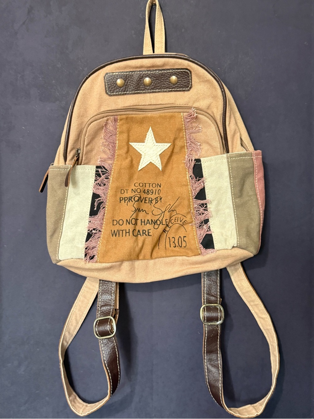 Hopofly Canvas Star Accent Tan & Brown Backpack
